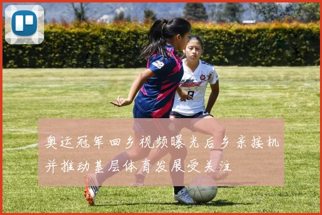 奥运冠军回乡视频曝光后乡亲接机并推动基层体育发展受关注