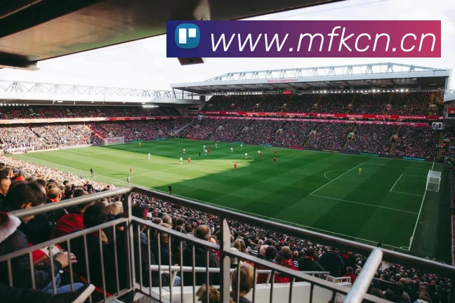 多媒体互动体验